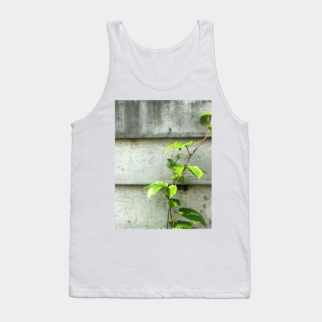 Vine of Betel plant growing up on the cement wall Tank Top by FOGSJ